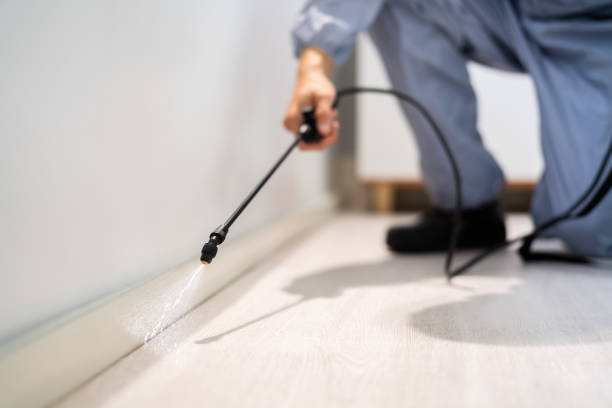 Licensed Pest Control service in Waukomis, OK - Show Me Pest Control