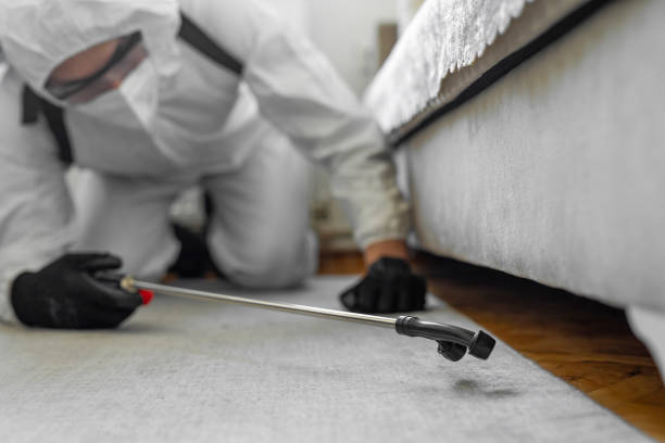 Professional Ant Control technician working in Waukomis, OK